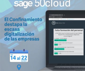 Empresa TDCONSULTING y SAGE